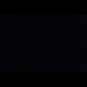 Meet your Posher, Prinny .